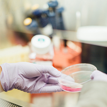 NeoVas生物可吸收支架诞生